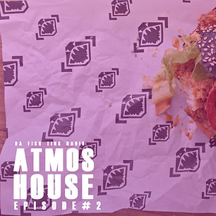 ATMOS house 2.jpg